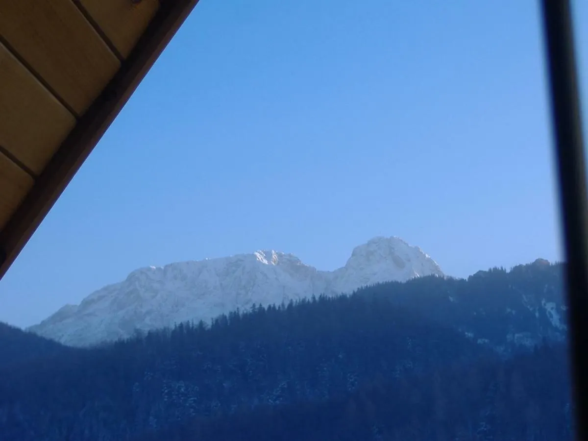 Apartament Zakopane Willa