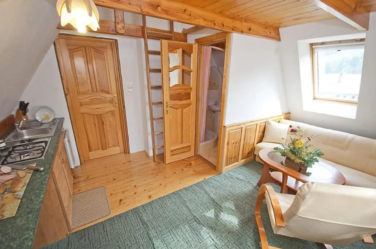 Lägenhet Zakopane Willa